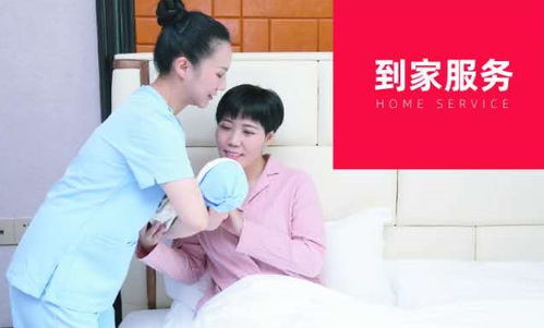 解鎖現代生活的萬花筒 家政服務的千百種可能