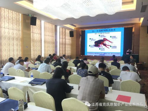 江蘇省克氏原螯蝦產業技術體系阜寧推廣示范基地技術培訓活動紀實