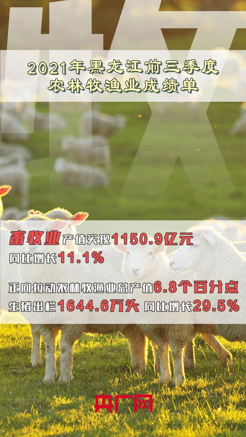 技術創新助力前三季度農林牧漁業交出亮眼成績單